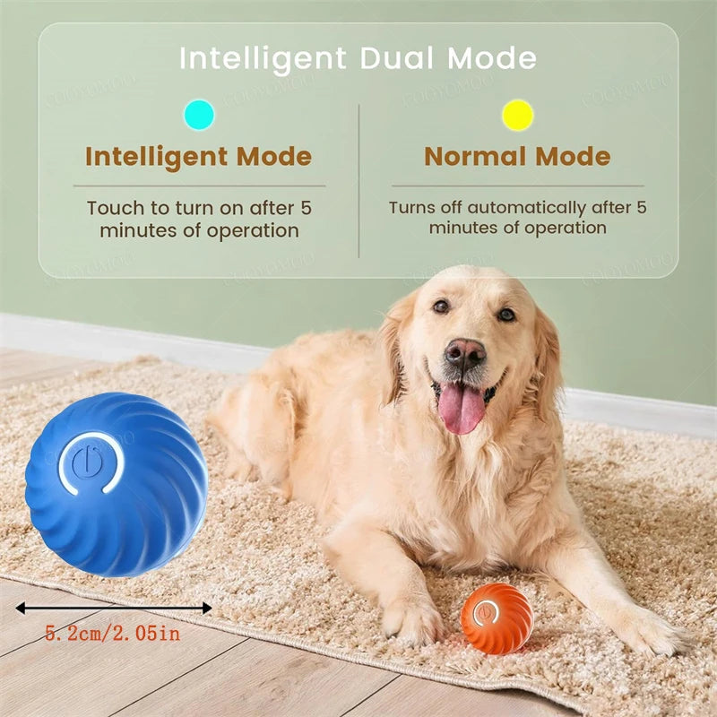 Interactive Electronic Ball for Dogs & Cats