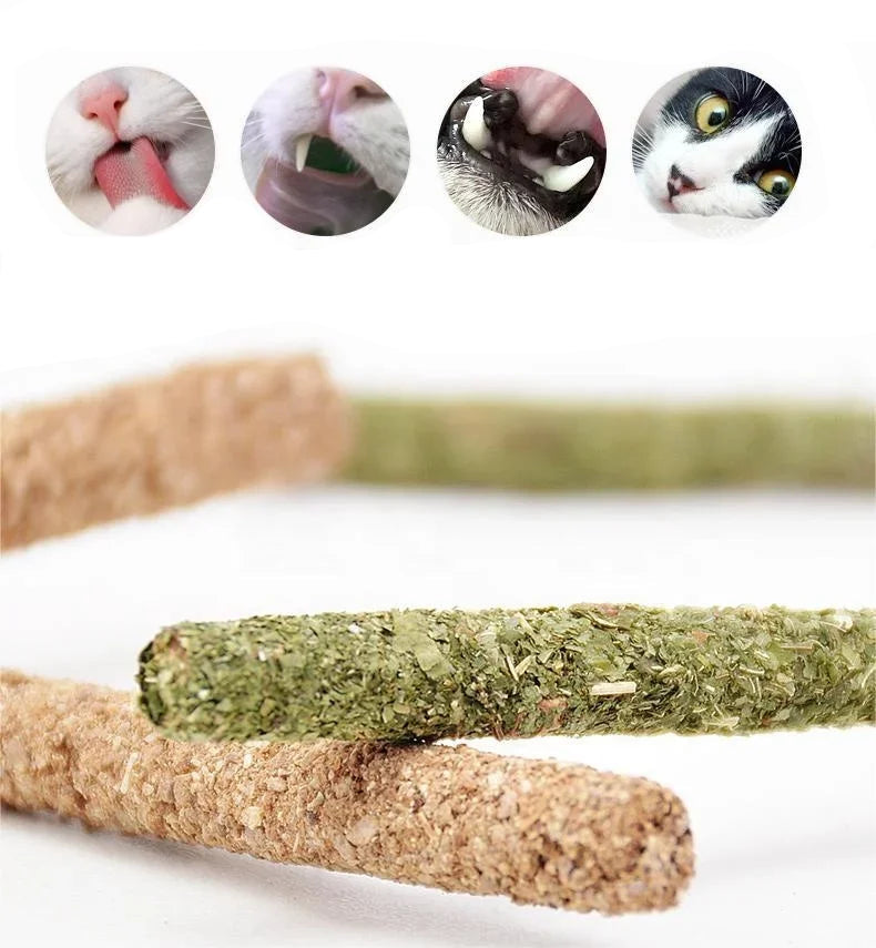 Natural Matatabi Sticks for Cats – 6 Pieces