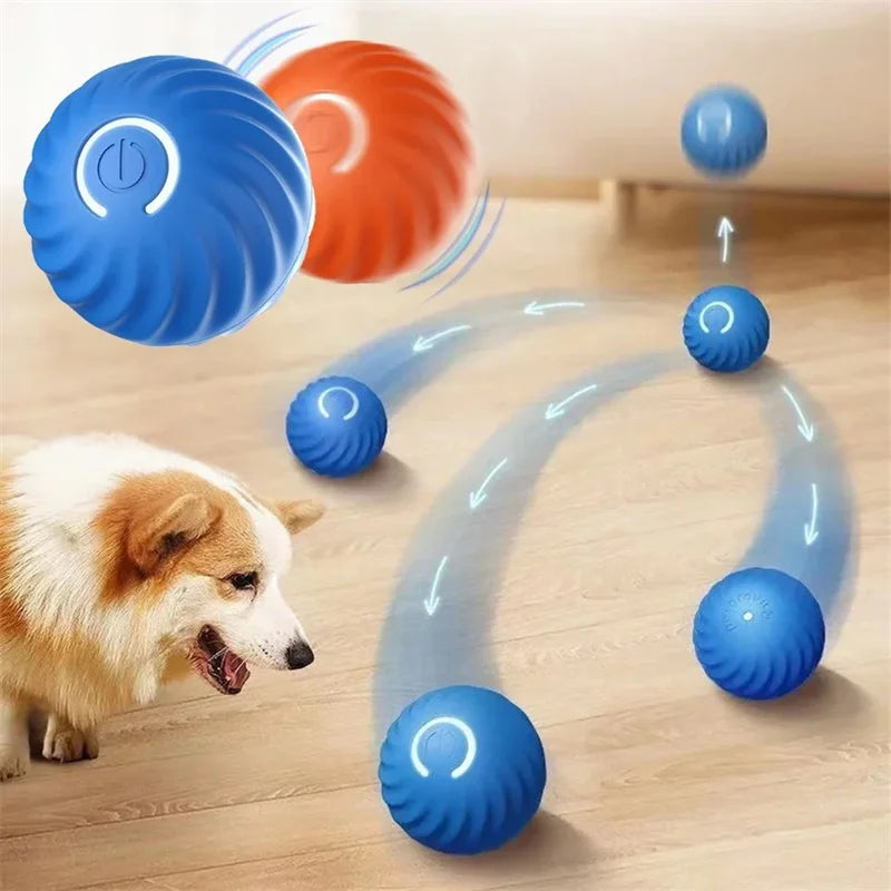 Interactive Electronic Ball for Dogs & Cats