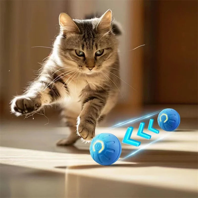 Interactive Electronic Ball for Dogs & Cats