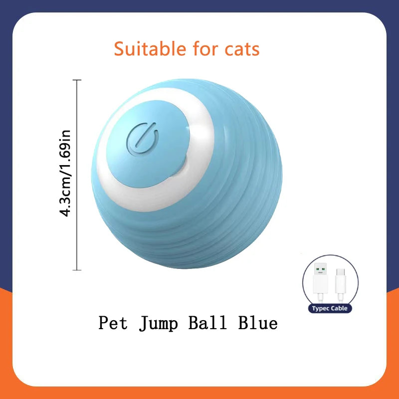 Interactive Electronic Ball for Dogs & Cats