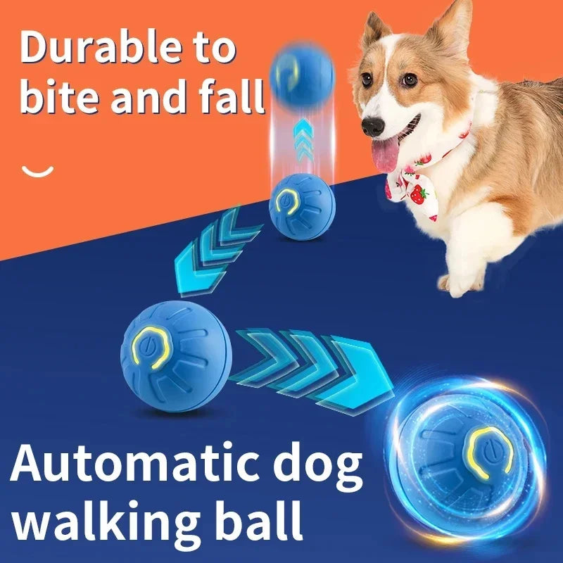 Interactive Electronic Ball for Dogs & Cats