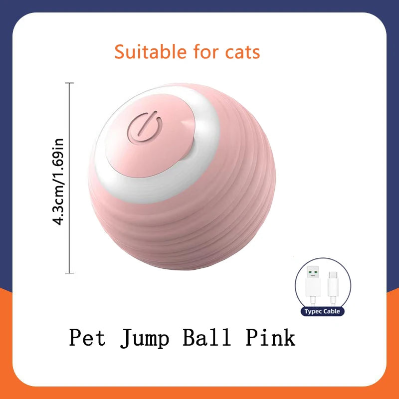Interactive Electronic Ball for Dogs & Cats